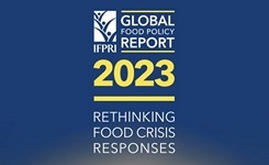 2023 Global Food Policy Report: Rethinking Food Crisis Responses