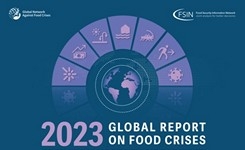 2023 Global Report on Food Crises