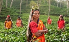 Climate Change Is Not Gender Neutral - Why We Must Integrate Gender Equality in Response