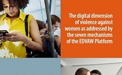 EDVAW Platform of Independent Expert Mechanisms on Discrimination & Violence Against Women