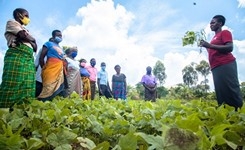 Embracing Transformative Leadership for Women's Land Rights for Sustainable Change
