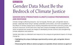 Gender Data Must Be the Bedrock of Climate Justice