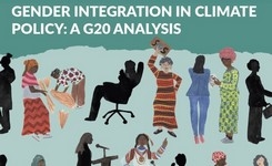 Gender Integration in Climate Policy: A G20 Analysis
