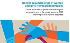Gender-Related Killings of Women & Girls: Improving Data on Femicide/Feminicide +
