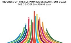 Gender Snapshot 2023 - Progress on the Sustainable Development Goals