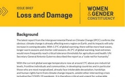 Loss & Damage from Climate Change - Women & Gender Constituency