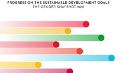 Progress on the Sustainable Development Goals: The Gender Snapshot