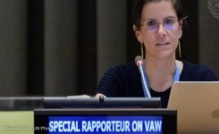 Religion & Violence Against Women - UN Special Rapporteur on VAW - Analysis