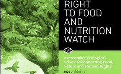 Right to Food & Nutrition Watch: False Solutions to Hunger & Malnutrition