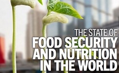 SDG Hunger Goal Slumps Further Behind 2030 Target in Key UN Food Report