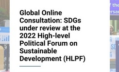 SDG's - Global Online Consultation - Review at the 2022 High-Level Political Forum