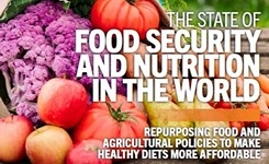 The State of Food Security & Nutrition in the World 2022