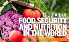 The State of Food Security & Nutrition in the World 2022 - Global Hunger, Food & Nutrition Insecurity, Gender Gap