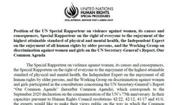 UN Experts Views on Gender Issues of the S-G Report: Our Common Agenda
