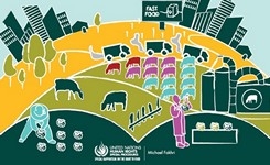 Violence & Conflict & The Right to Food - UN SR Right to Food